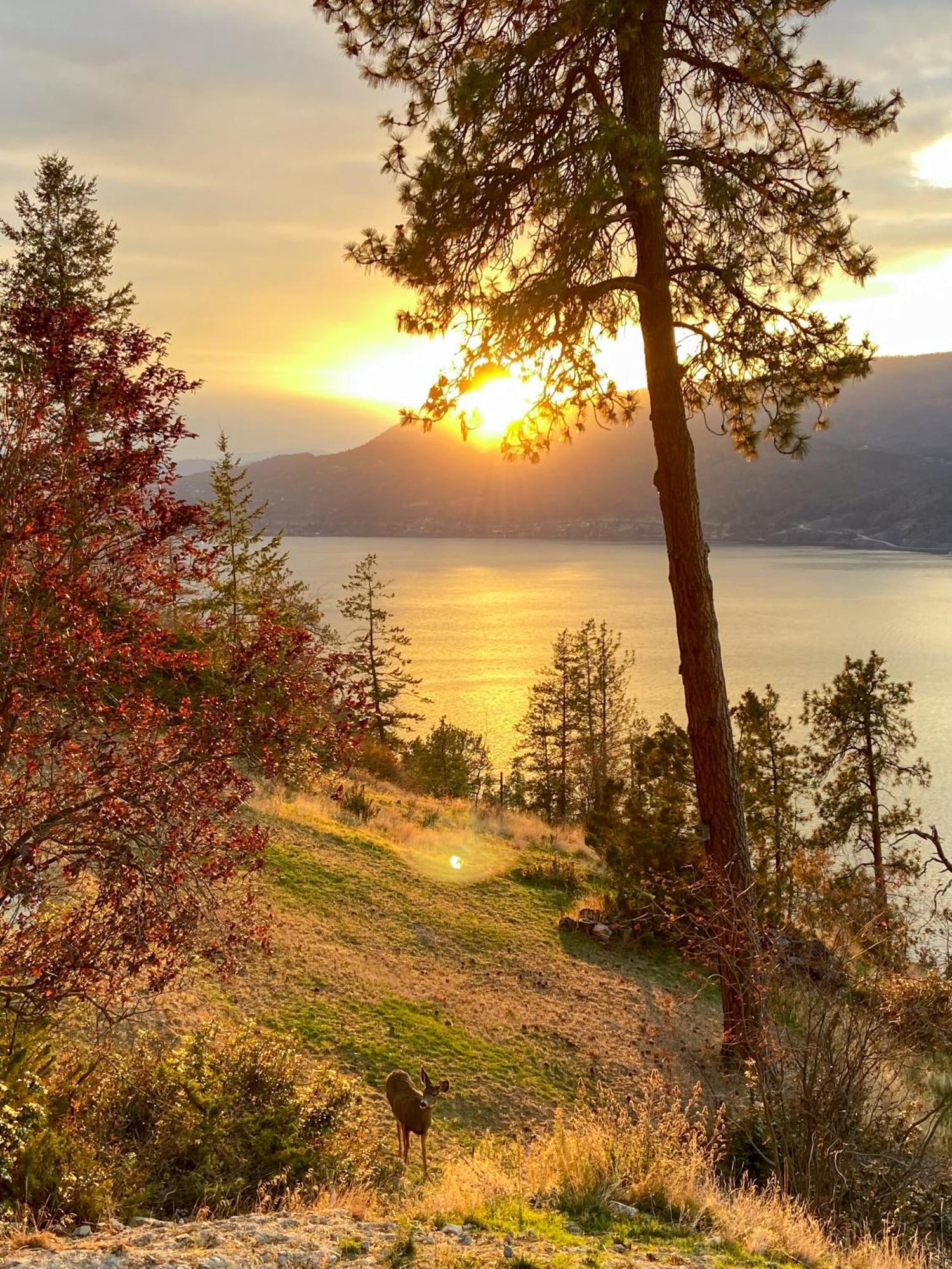 Kelowfornia Lakeview Retreat Kelowna Kültér fotó