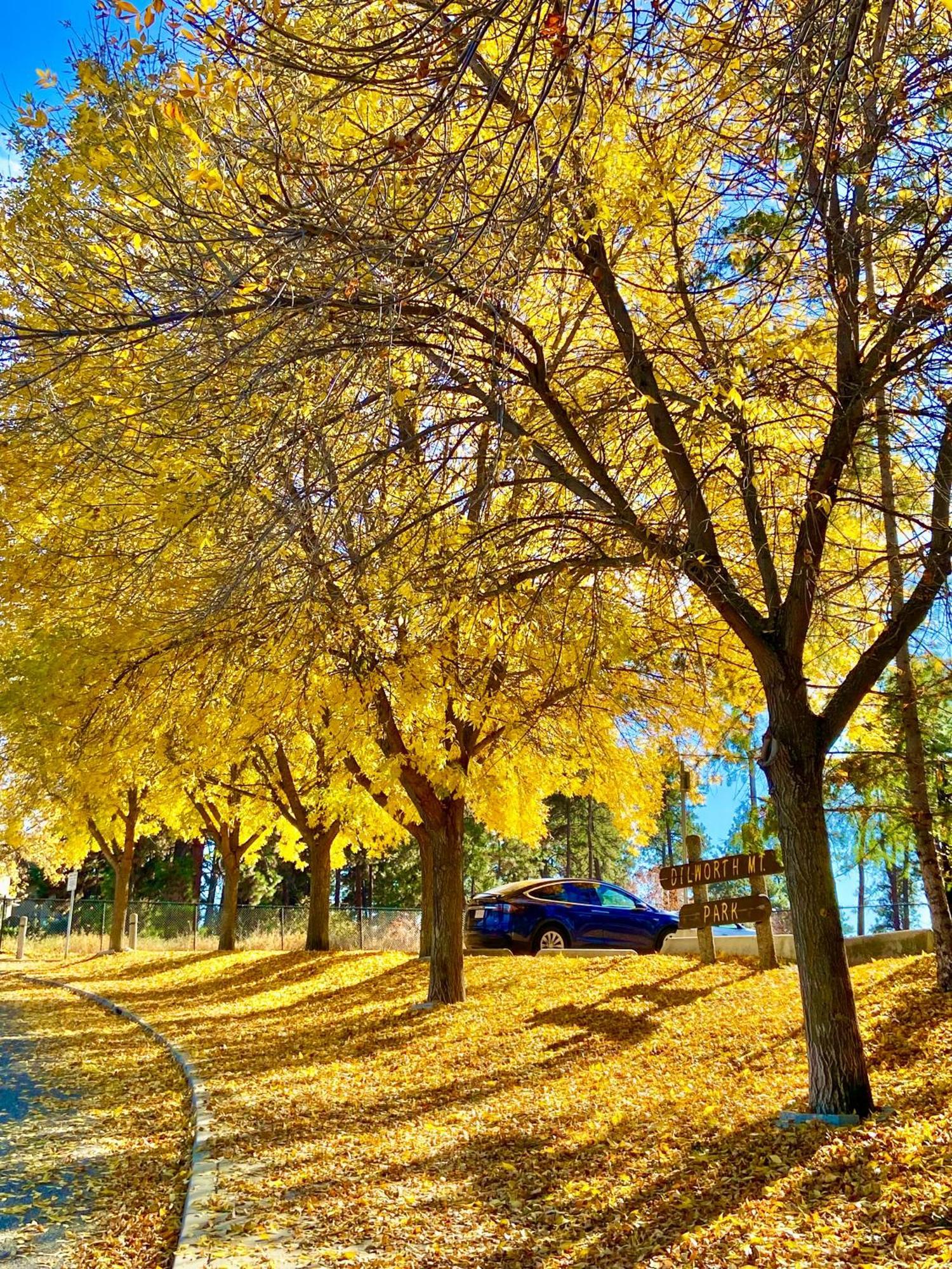 Kelowfornia Lakeview Retreat Kelowna Kültér fotó
